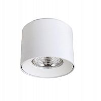 потолочный светодиодный светильник crystal lux clt 522c117 wh в Нижнекамске