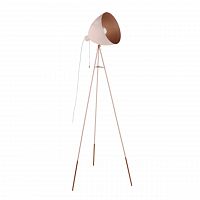 торшер eglo chester-p 49039 в Нижнекамске