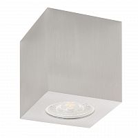потолочный светильник denkirs dk3010-al в Нижнекамске