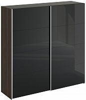 шкаф-купе slide 1700 черный в Нижнекамске