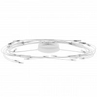 потолочный светильник lightstar ovale 784246 в Нижнекамске