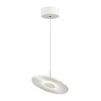 подвесной светодиодный светильник odeon light ellen 4107/12l в Нижнекамске