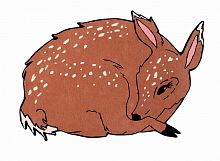 ковер шерстяной олененок the deer в Нижнекамске