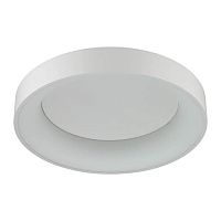 потолочный светодиодный светильник odeon light sole 4062/50cl в Нижнекамске