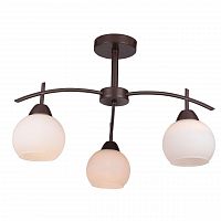 потолочная люстра toplight molly tl3770x-03db в Нижнекамске