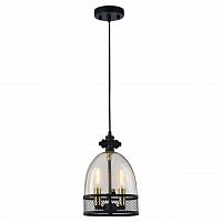подвесной светильник lussole loft lsp-9675 в Нижнекамске