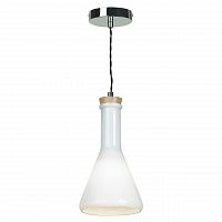подвесной светильник lussole loft 5 lsp-9635 в Нижнекамске