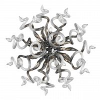бра lightstar medusa 890659 в Нижнекамске